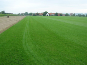 Trávník | WebJET CMS