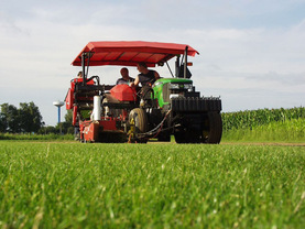 Trávník | WebJET CMS