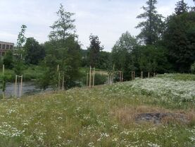 Výsadba stromů | WebJET CMS