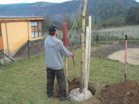 Výsadba stromů | WebJET CMS