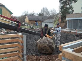 Výsadba stromů | WebJET CMS